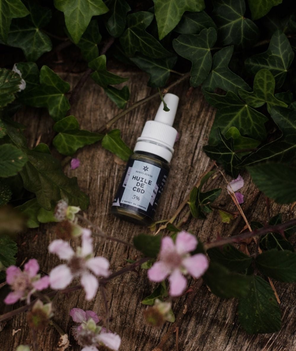 Huile de CBD 5% (10ml) - Yoga Searcher